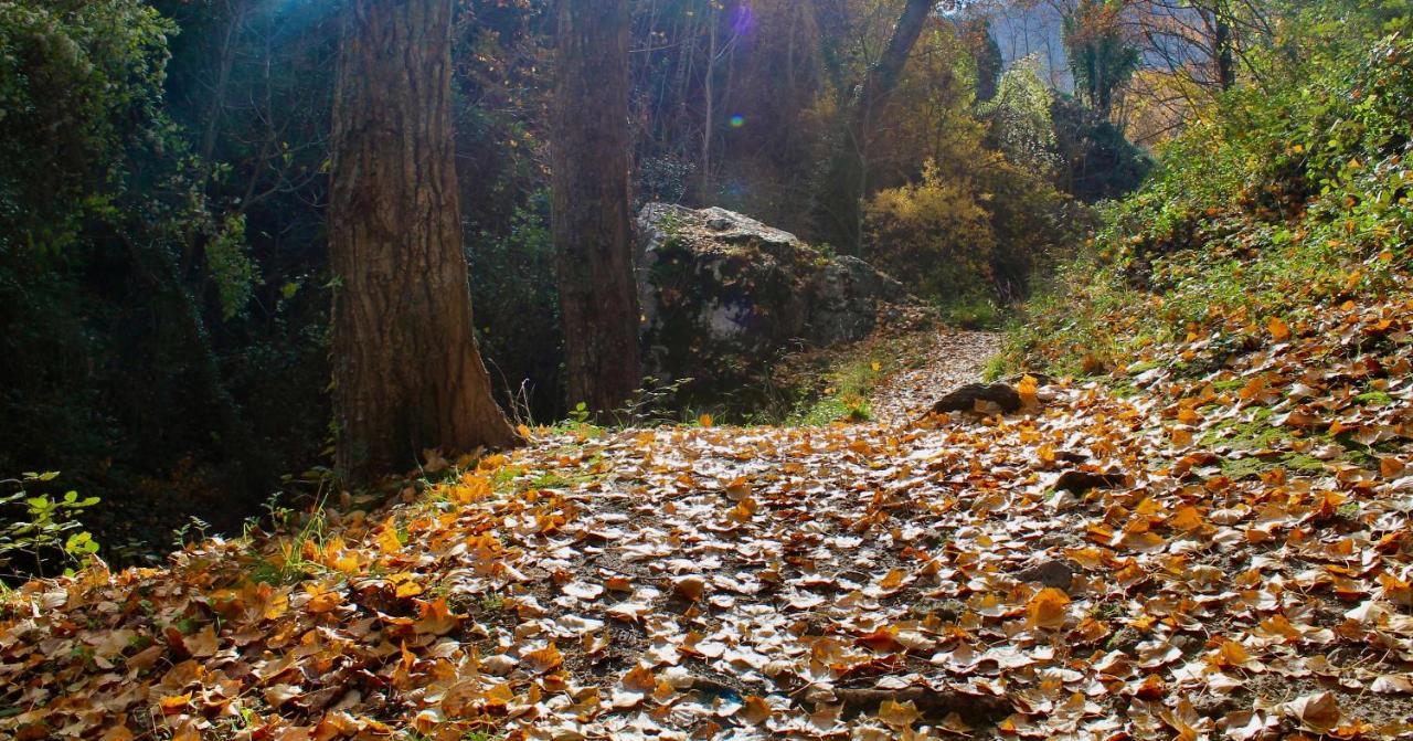 Alojamiento Rural Fuente De La Glorieta Cazorla Luaran gambar
