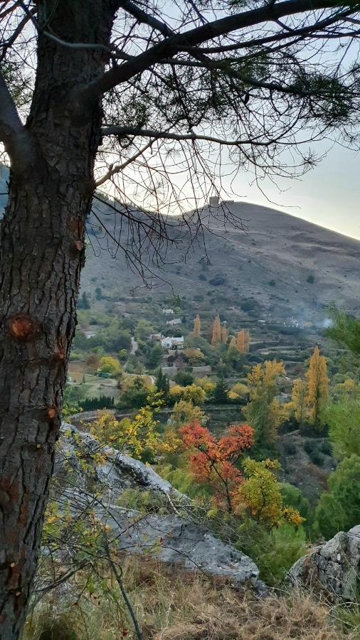 Alojamiento Rural Fuente De La Glorieta Cazorla Luaran gambar